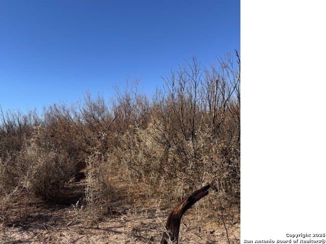 21.34 acres in Presidio County - photo 3