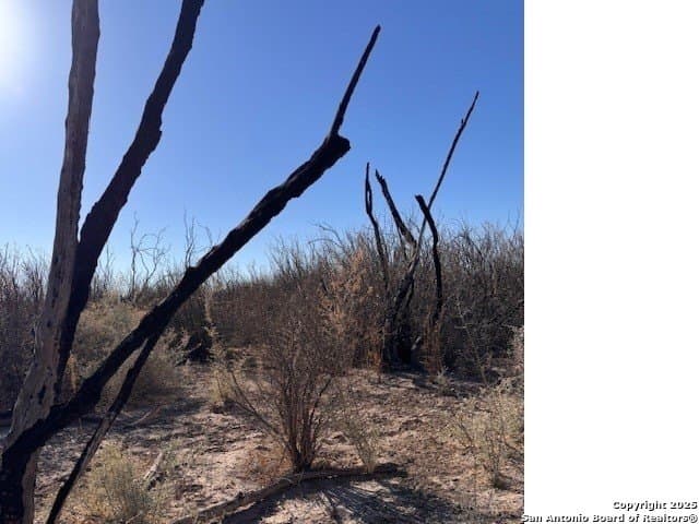 21.34 acres in Presidio County - photo 2