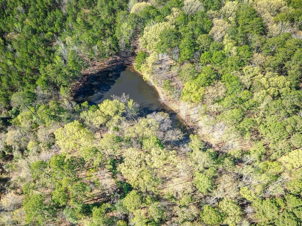37 acres in ANDERSON County - photo 19