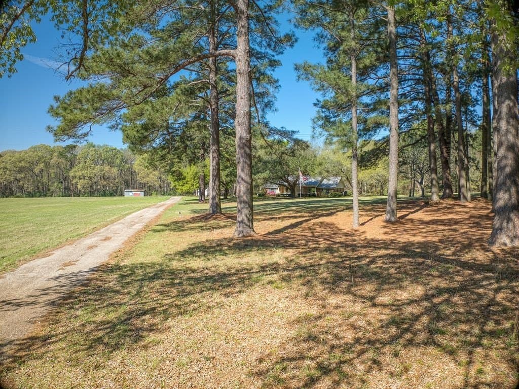 37 acres in ANDERSON County - photo 14