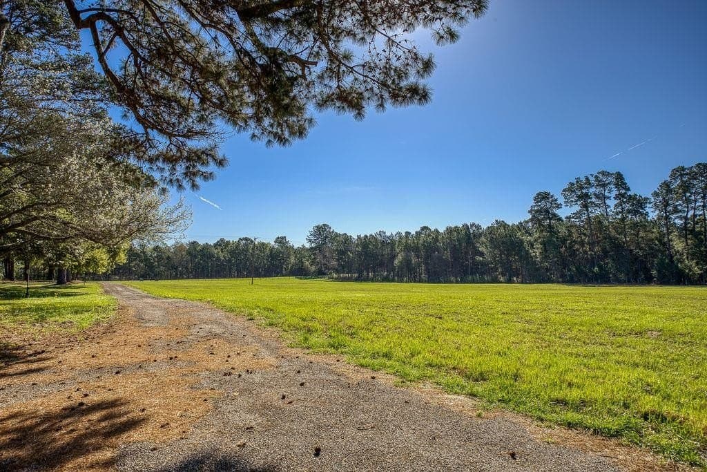 37 acres in ANDERSON County - photo 13