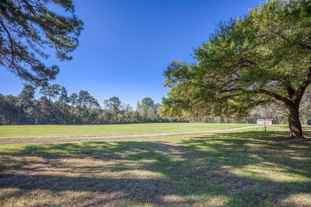 37 acres in ANDERSON County - photo 17