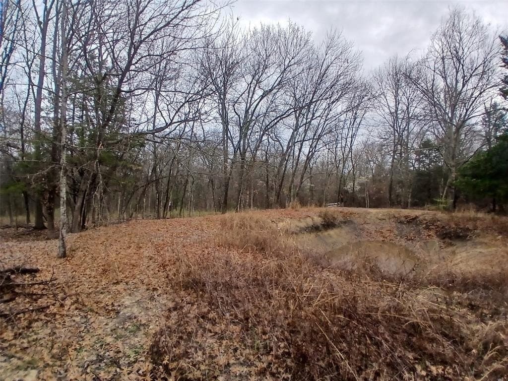 13.65 acres in Collin County - photo 5