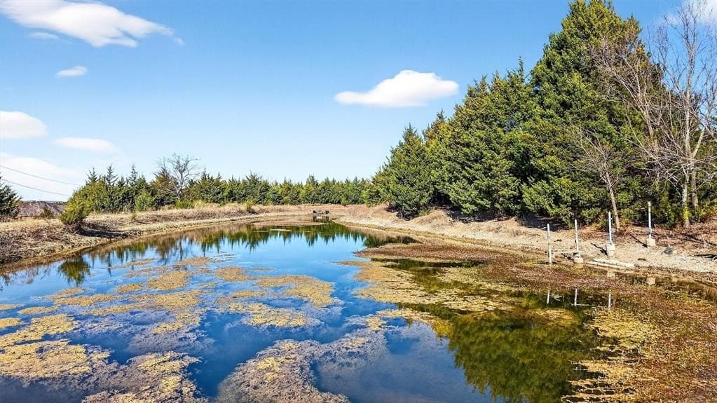 10.1 acres in Grayson County - photo 11