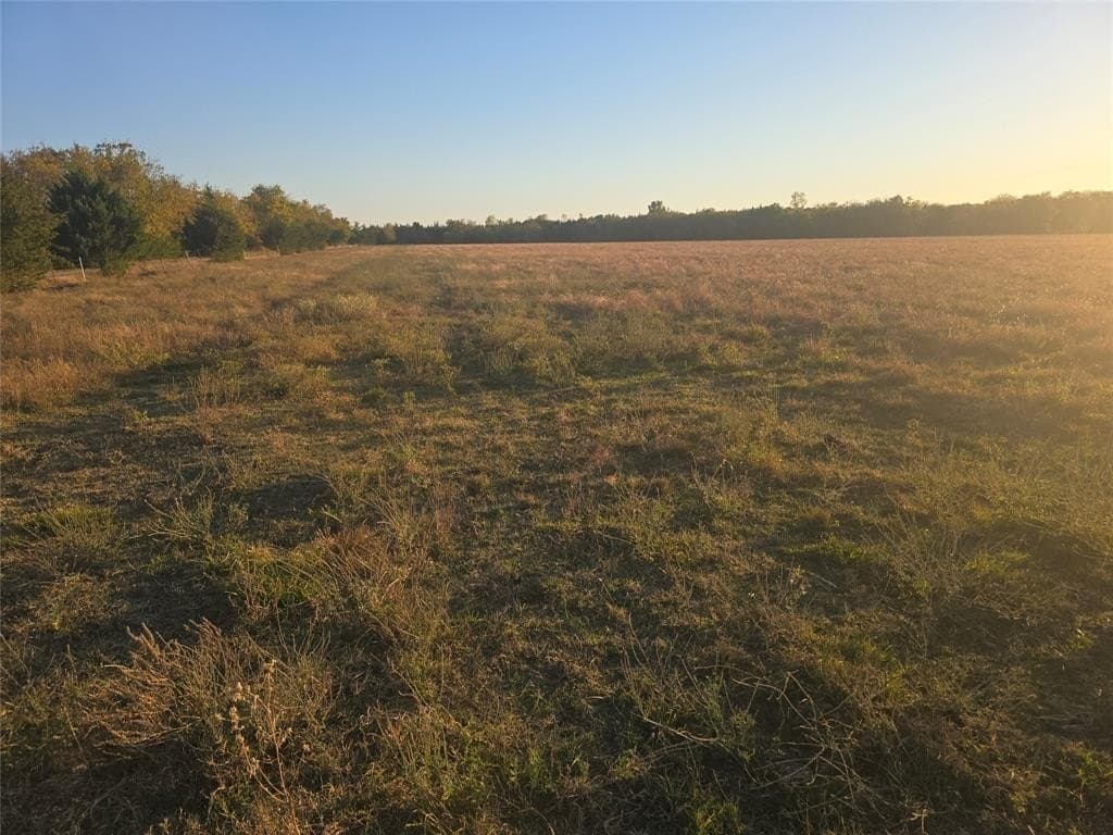 35 acres in Lamar County - photo 5