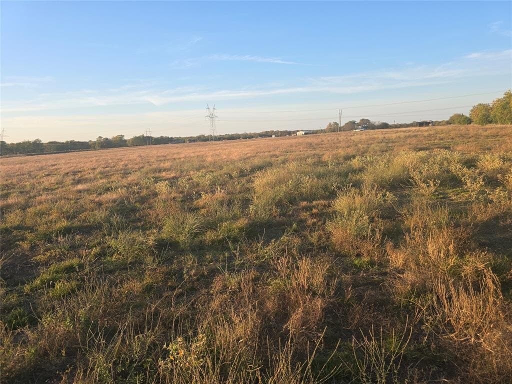 35 acres in Lamar County - photo 6