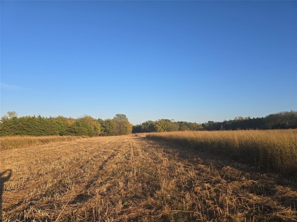 35 acres in Lamar County - photo 7