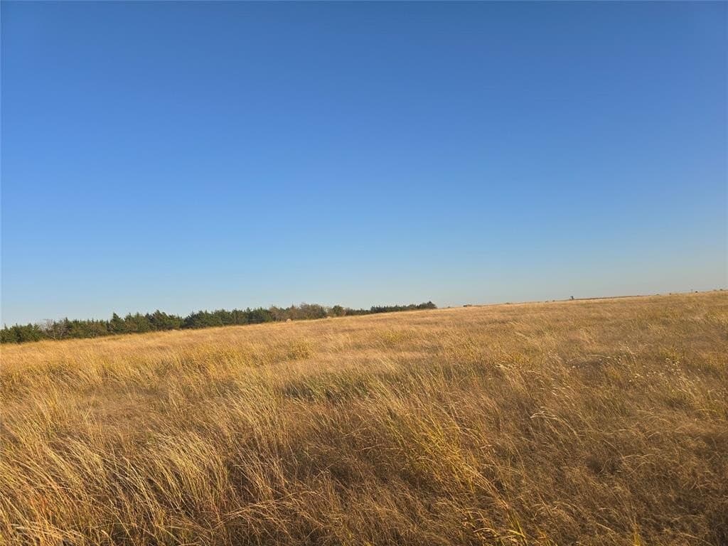 35 acres in Lamar County - photo 4