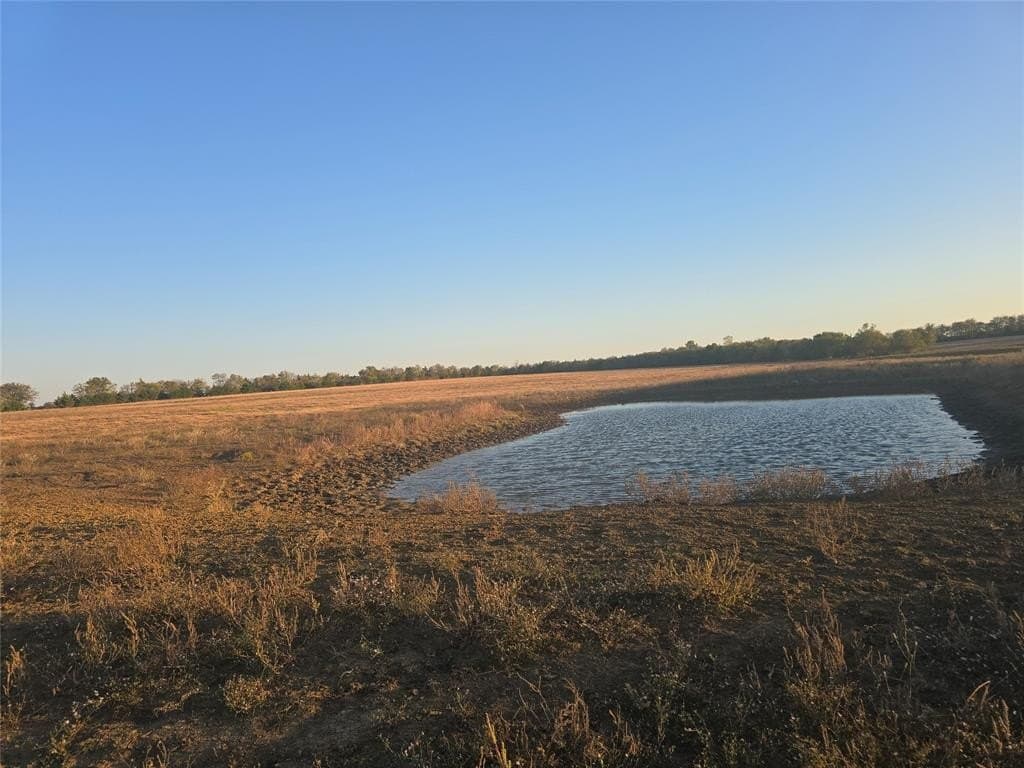 35 acres in Lamar County - photo 8
