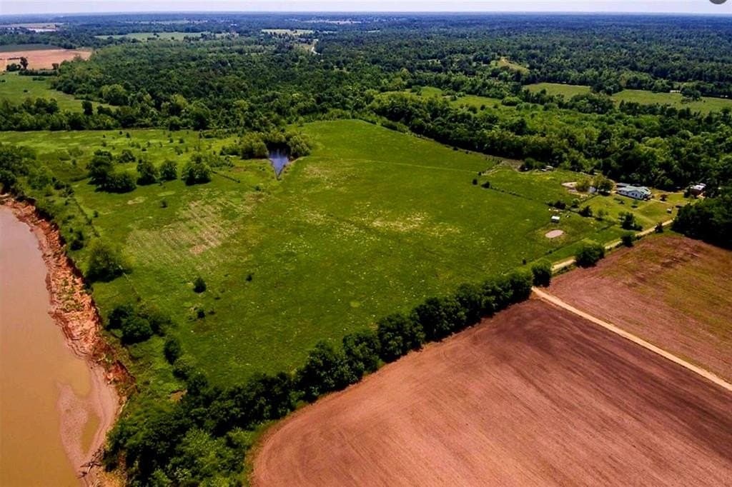 75 acres in Lamar County - photo 6