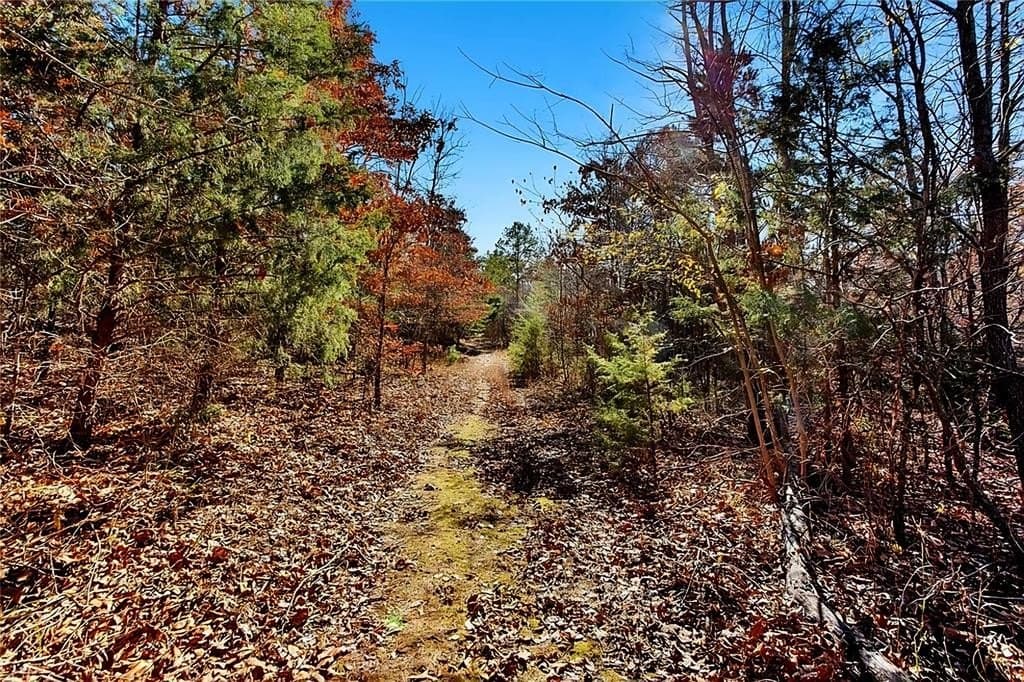 75 acres in Lamar County - photo 28