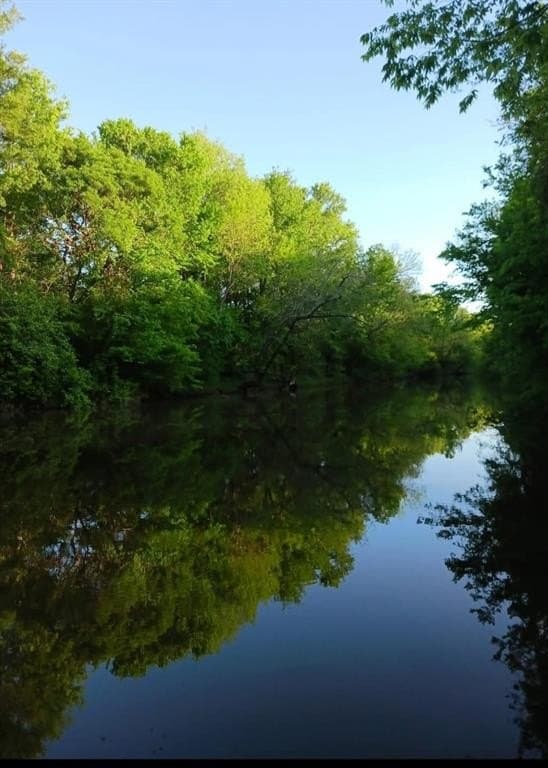 75 acres in Lamar County - photo 3
