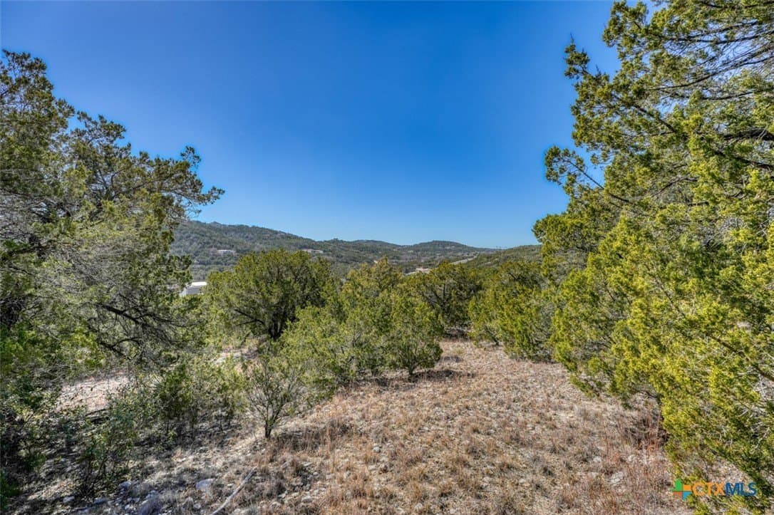 10 acres in Travis County - photo 13