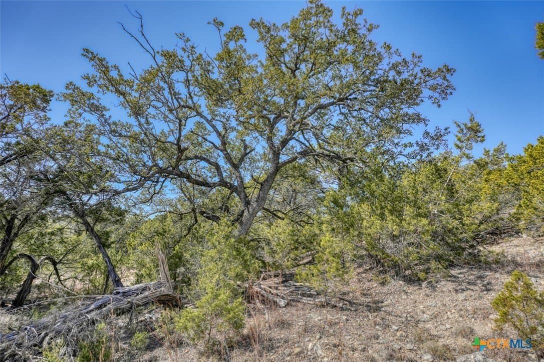 10 acres in Travis County - photo 8
