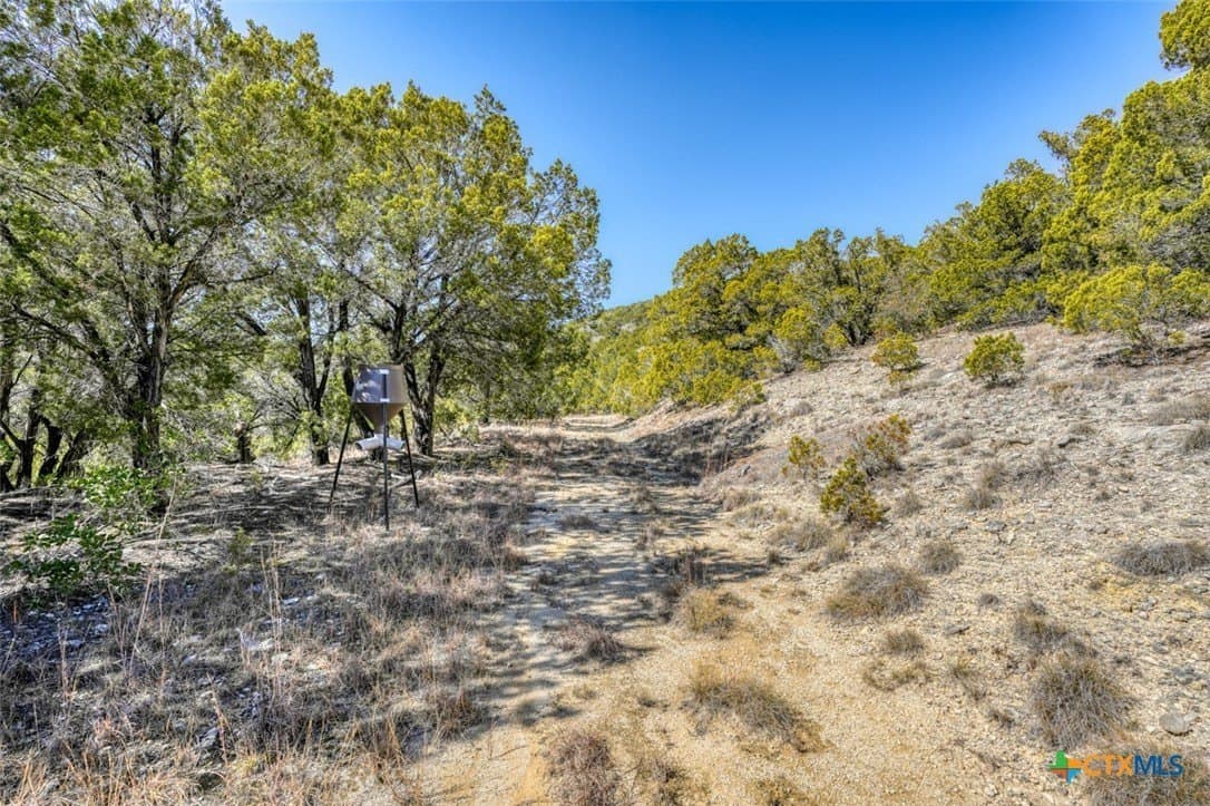 10 acres in Travis County - photo 14