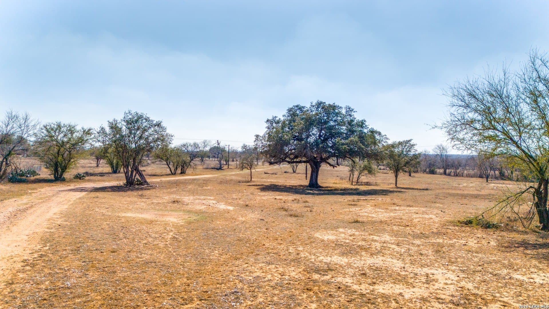 10 acres in Bexar County - photo 3