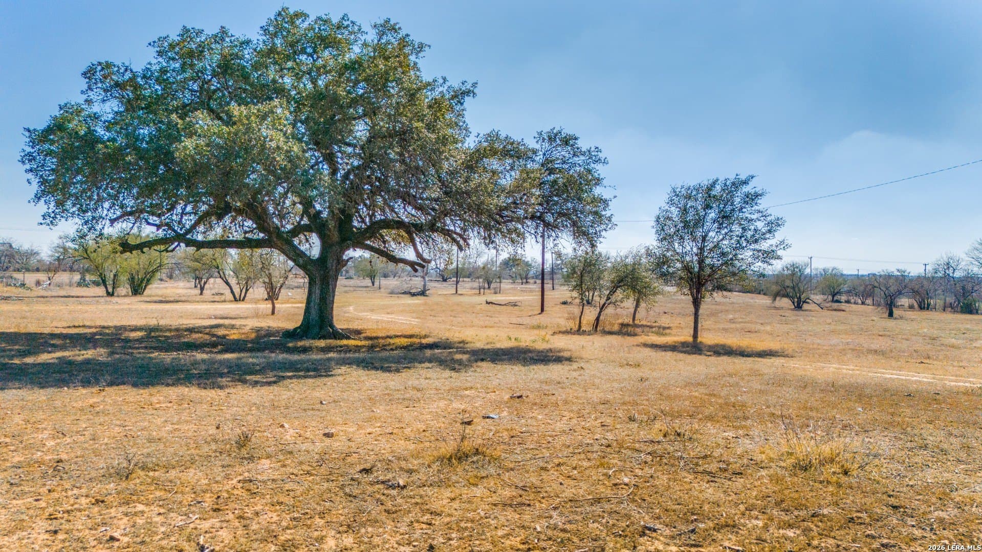 10 acres in Bexar County - photo 6
