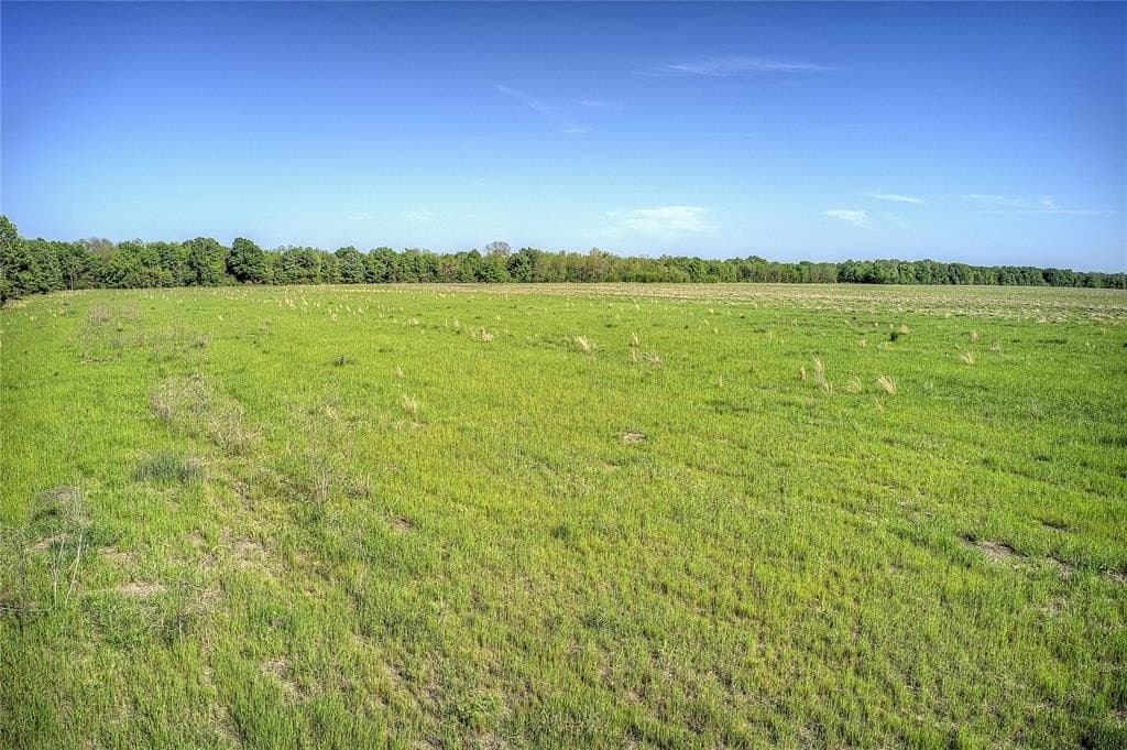 216.56 acres in Red River County - photo 9