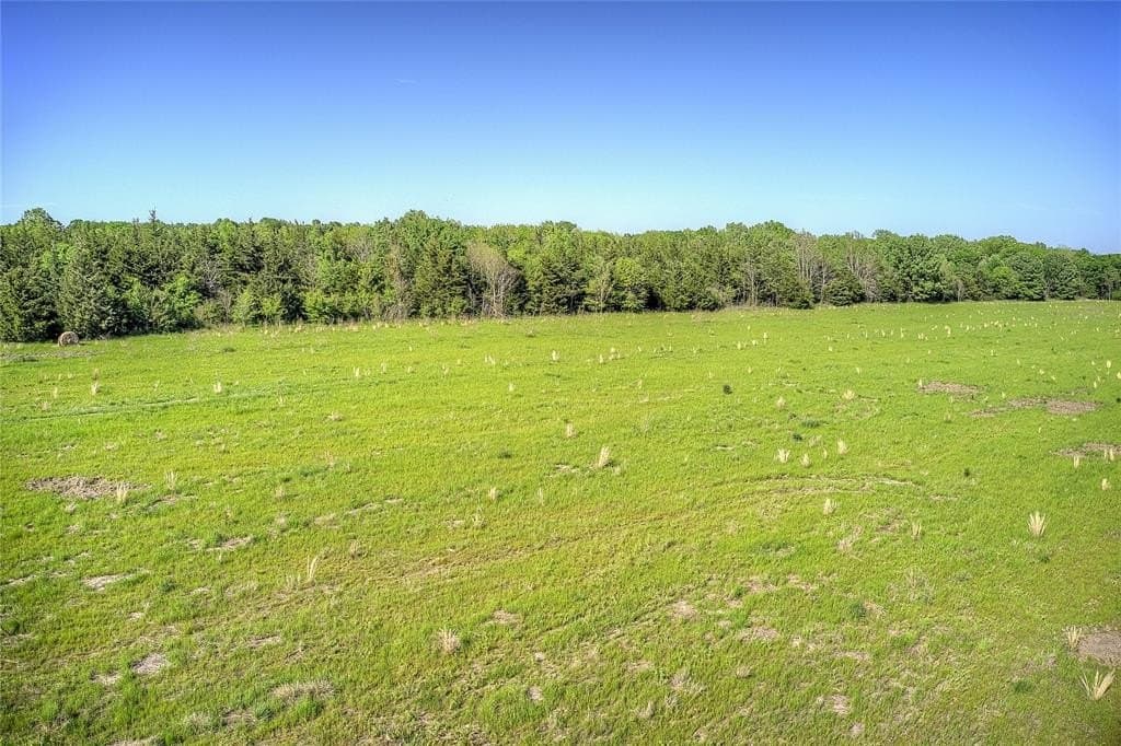 216.56 acres in Red River County - photo 8