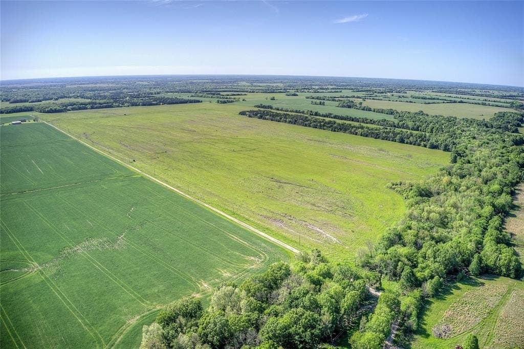 216.56 acres in Red River County - photo 4