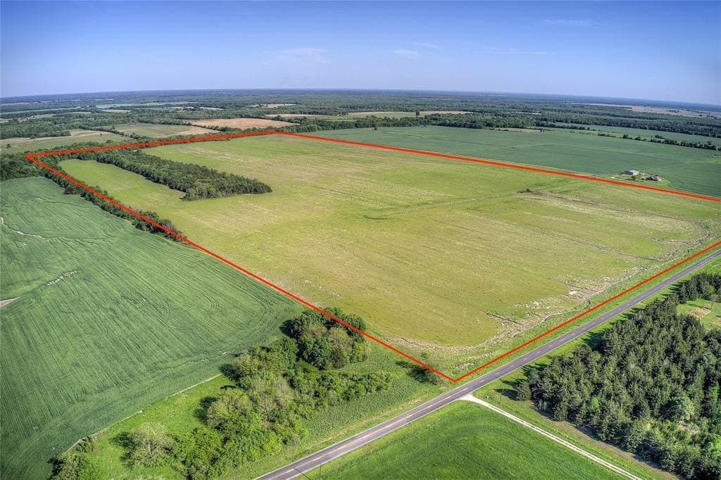 216.56 acres in Red River County - photo 2