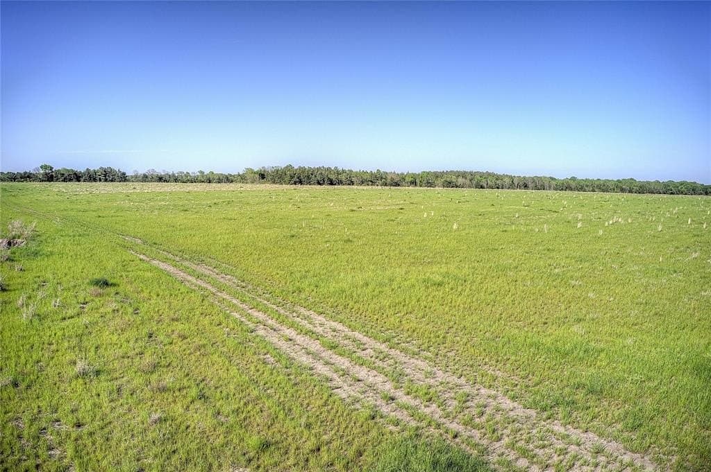 216.56 acres in Red River County - photo 10