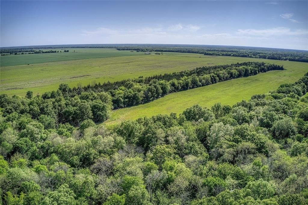 216.56 acres in Red River County - photo 7