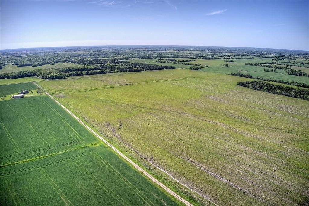 216.56 acres in Red River County - photo 3