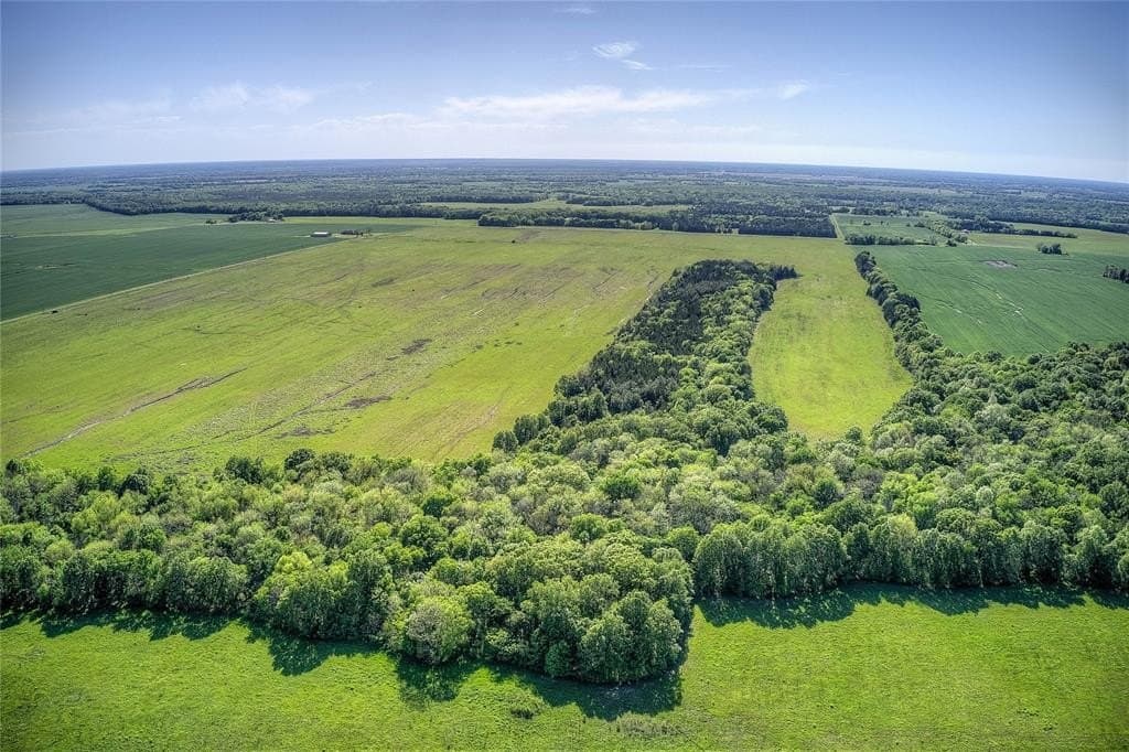 216.56 acres in Red River County - photo 6
