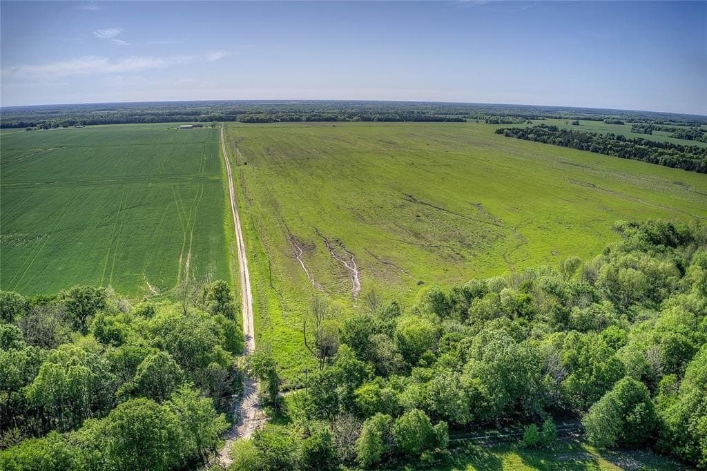 216.56 acres in Red River County - photo 5