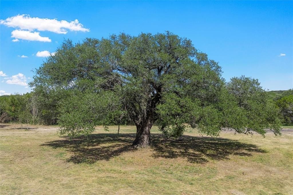 24.98 acres in McLennan County - photo 2