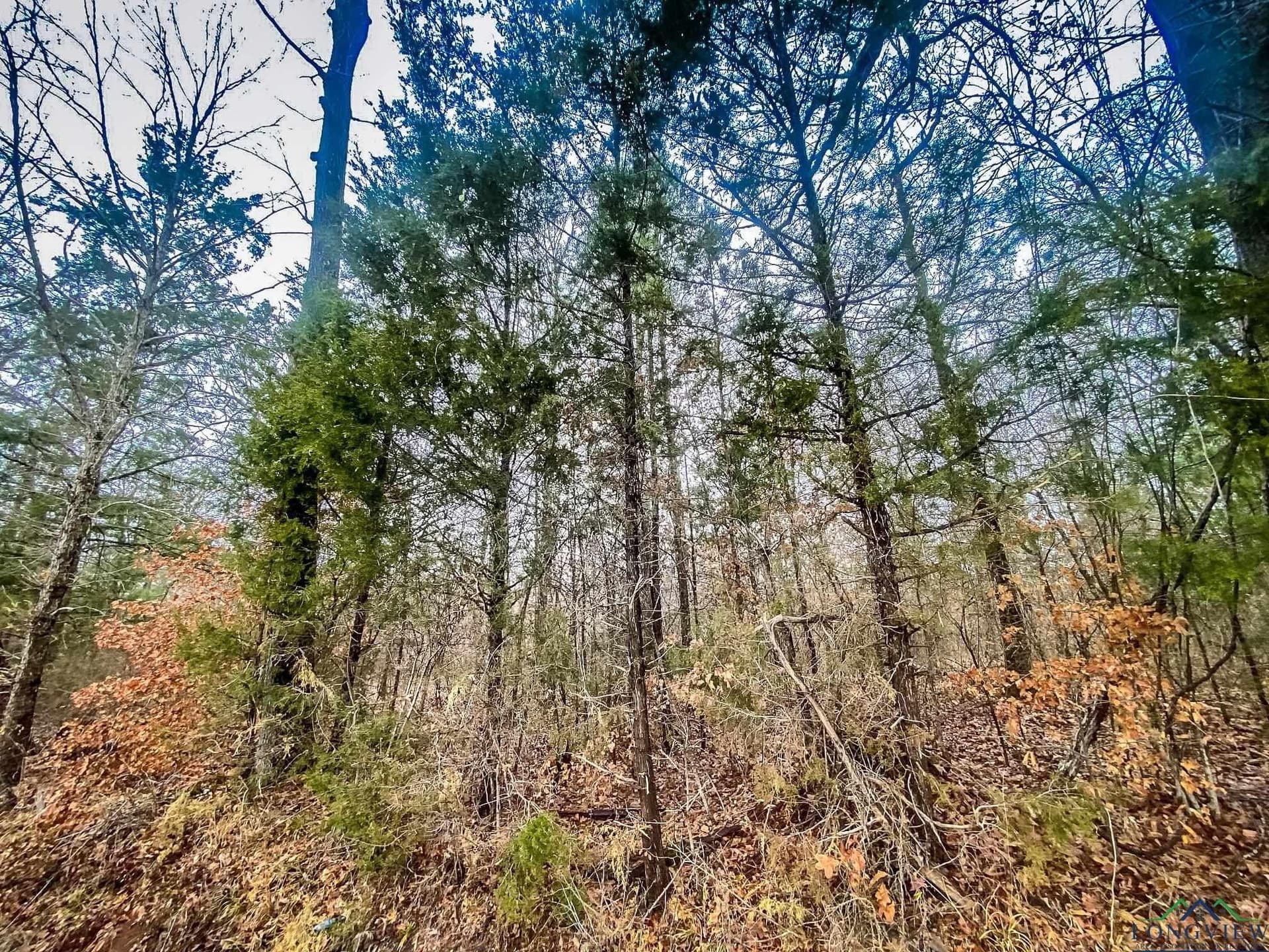 11 acres in Harrison County - photo 12