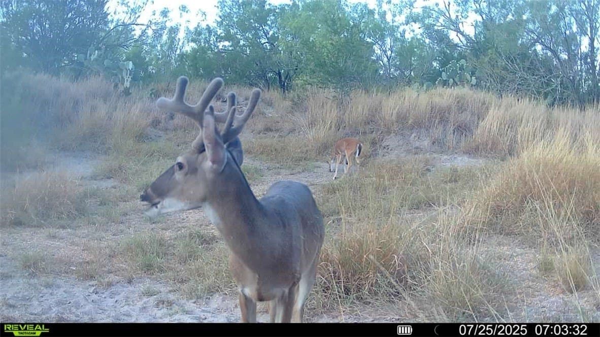 80 acres in McMullen County - photo 25