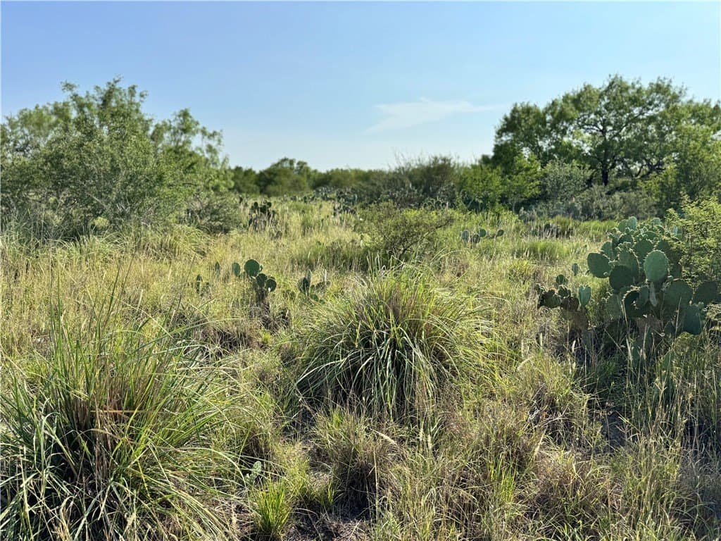 80 acres in McMullen County - photo 19