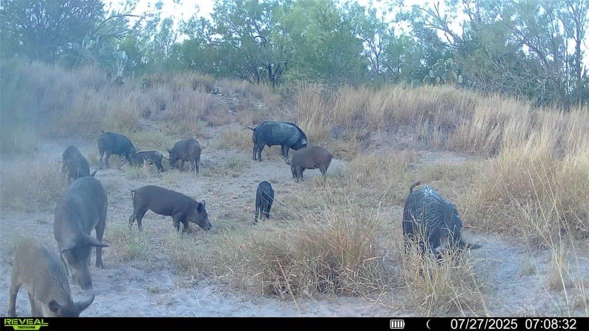 80 acres in McMullen County - photo 10
