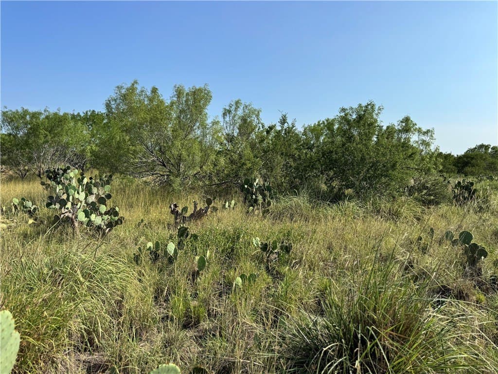 80 acres in McMullen County - photo 24