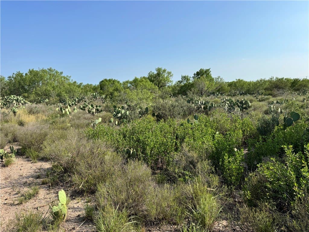 80 acres in McMullen County - photo 37