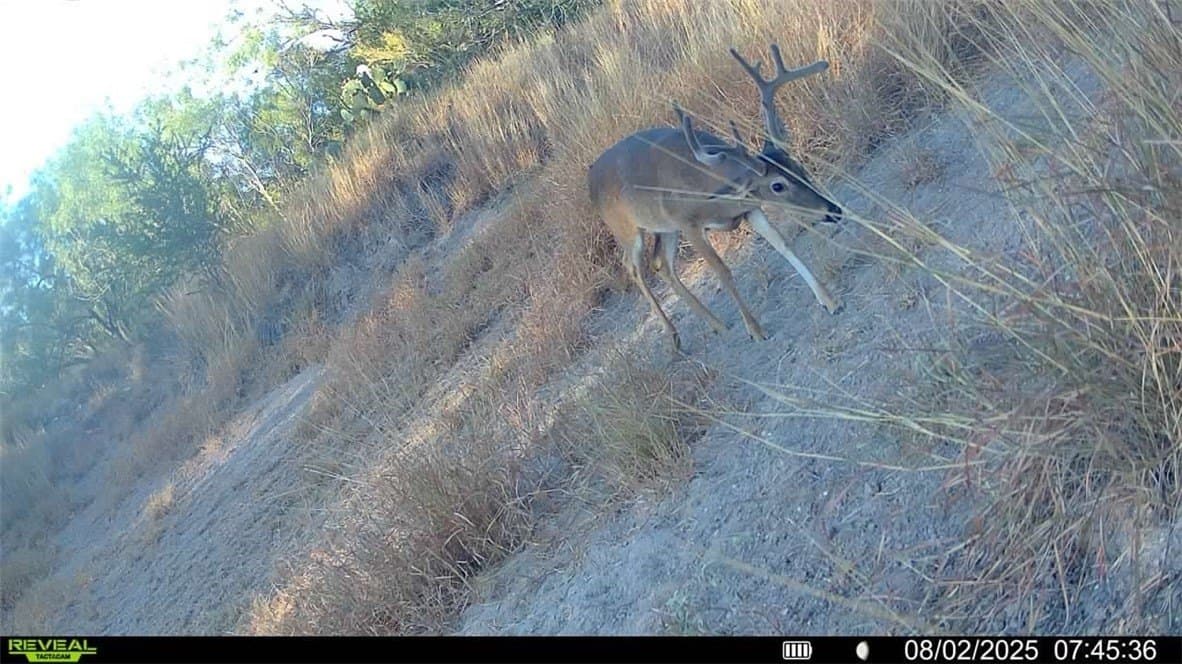 80 acres in McMullen County - photo 13