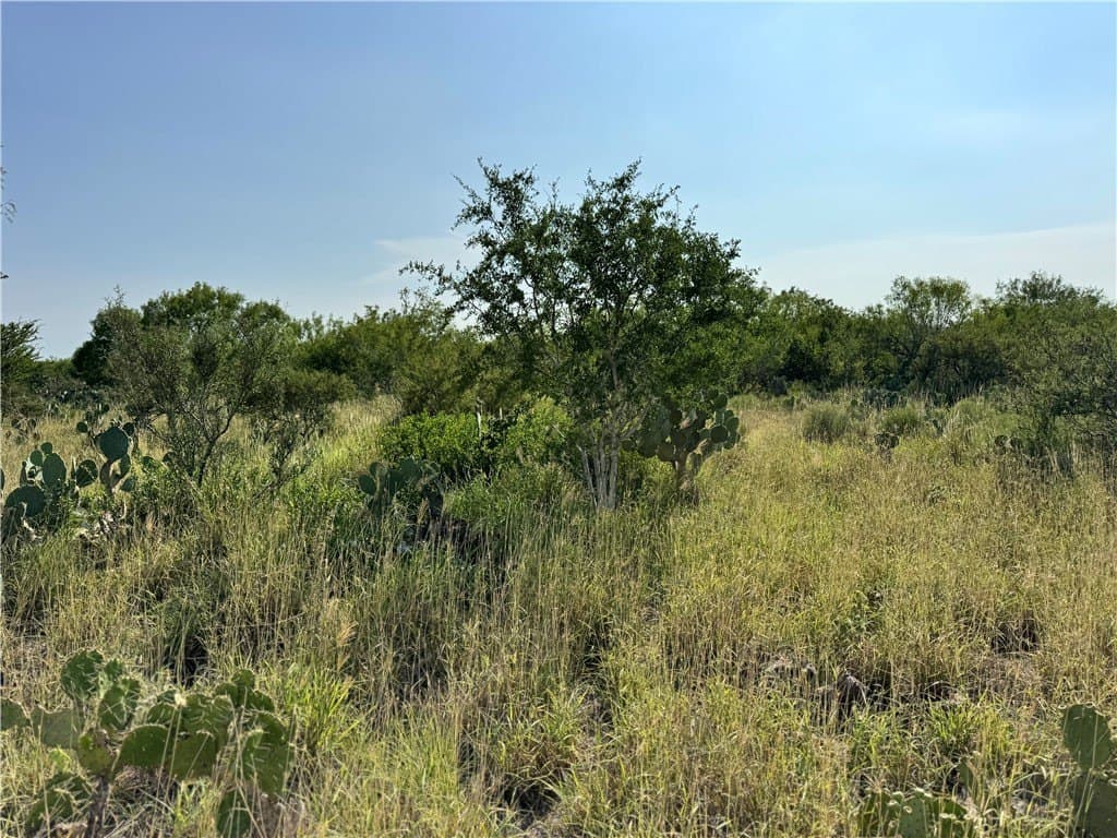 80 acres in McMullen County - photo 17