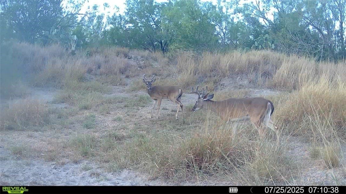 80 acres in McMullen County - photo 29
