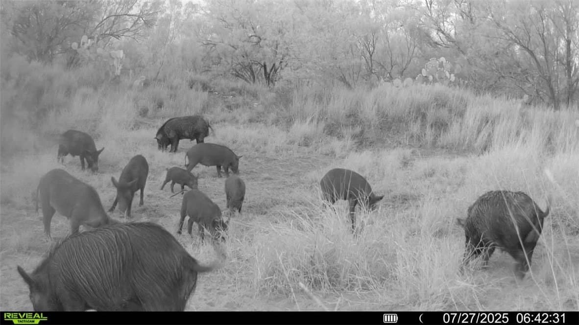 80 acres in McMullen County - photo 6