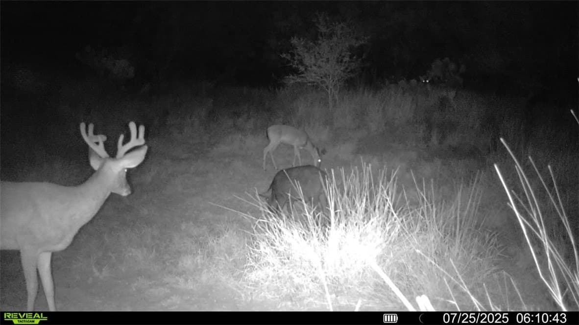 80 acres in McMullen County - photo 28
