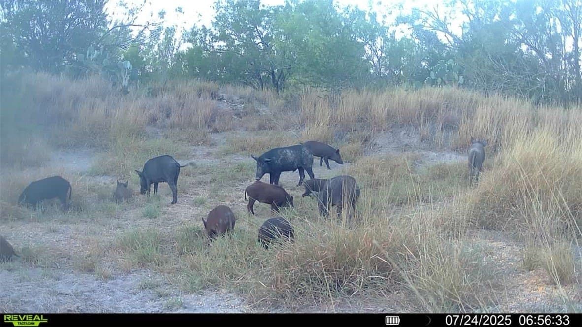 80 acres in McMullen County - photo 31