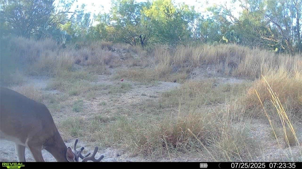 80 acres in McMullen County - photo 21