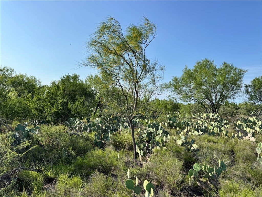80 acres in McMullen County - photo 30