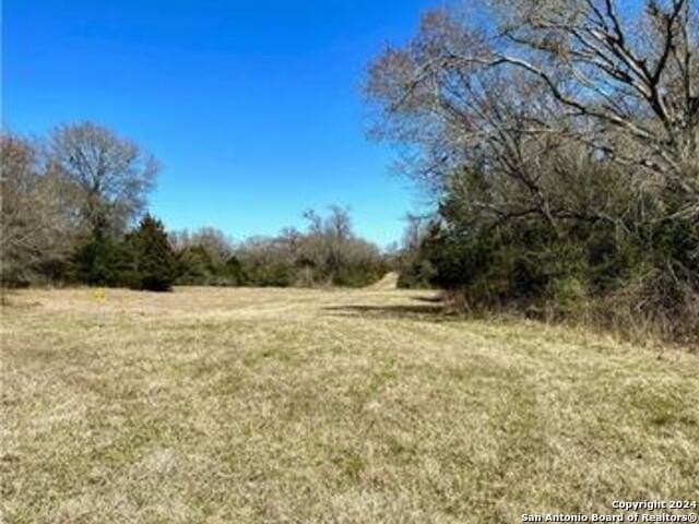 37.75 acres in Limestone County - photo 3