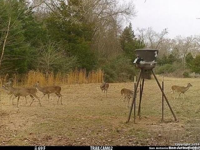 37.75 acres in Limestone County - photo 16