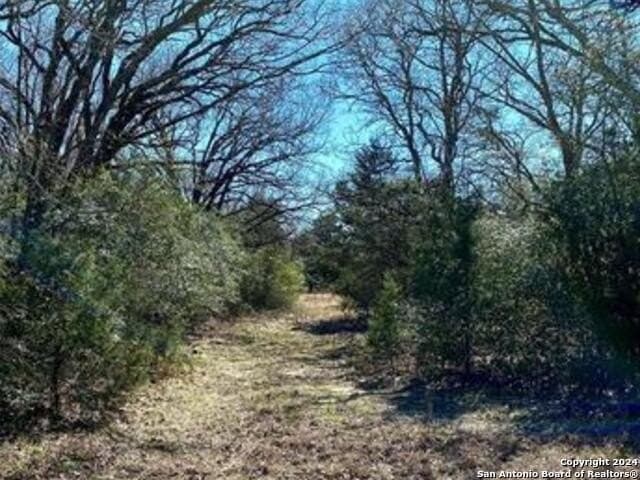 37.75 acres in Limestone County - photo 6