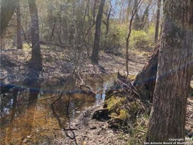 37.75 acres in Limestone County - photo 10