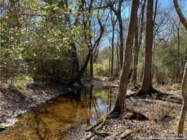 37.75 acres in Limestone County - photo 11